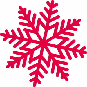 8 kilo ijsblokjes (inclusief leen koelbox)